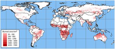 Tropical savanna small mammals respond to loss of cover following disturbance: A global review of field studies